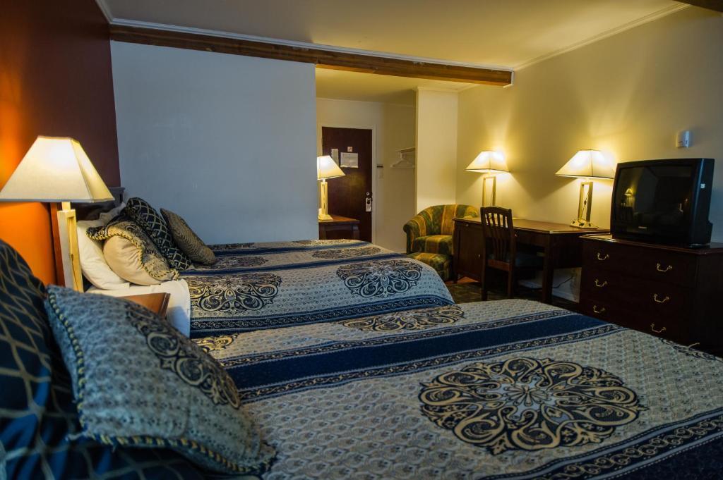 Grizz Hotel Revelstoke Camera foto
